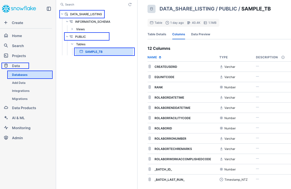 select db, schema and table